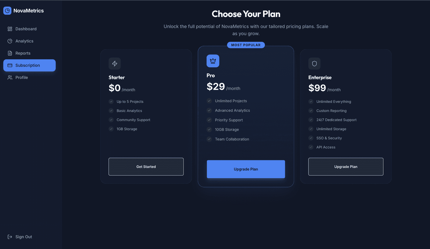 B2B analytics dashboard platform that turned data into recurring revenue for a SaaS start-up - plan